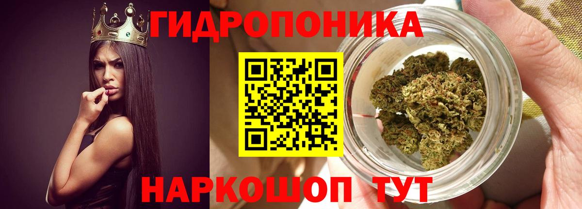 Шишки марихуана ГИДРОПОН  Вход с VPN  Бошки марихуана Amnesia  Анжеро-Судженск  Шишки марихуана AK-47 